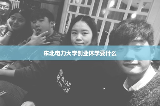 东北电力大学创业休学要什么