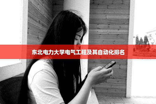 东北电力大学电气工程及其自动化排名