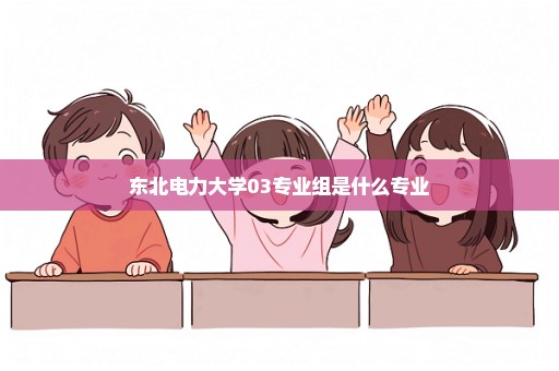 东北电力大学03专业组是什么专业