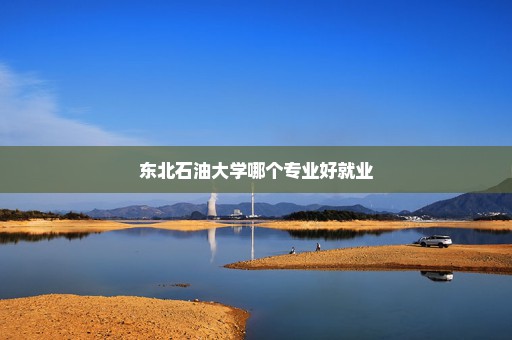 东北石油大学哪个专业好就业