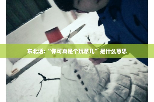 东北话:“你可真是个玩意儿”是什么意思