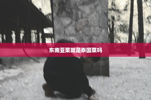 东南亚菜就是泰国菜吗
