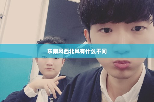 东南风西北风有什么不同
