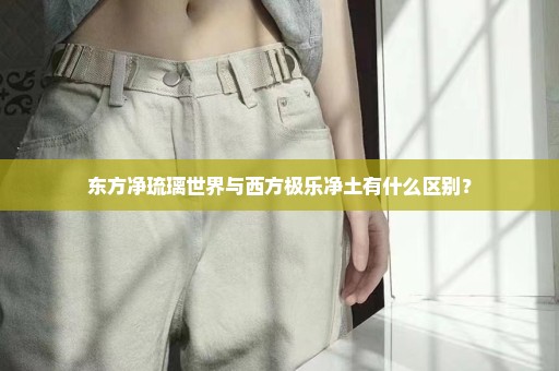 东方净琉璃世界与西方极乐净土有什么区别？