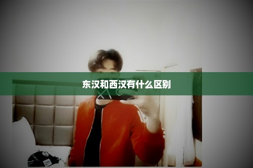 东汉和西汉有什么区别