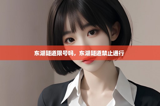 东湖隧道限号吗，东湖隧道禁止通行 