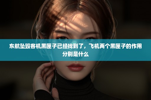 东航坠毁客机黑匣子已经找到了，飞机两个黑匣子的作用分别是什么
