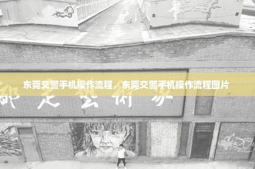 东莞交警手机操作流程，东莞交警手机操作流程图片 