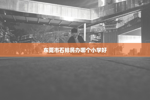 东莞市石排民办哪个小学好