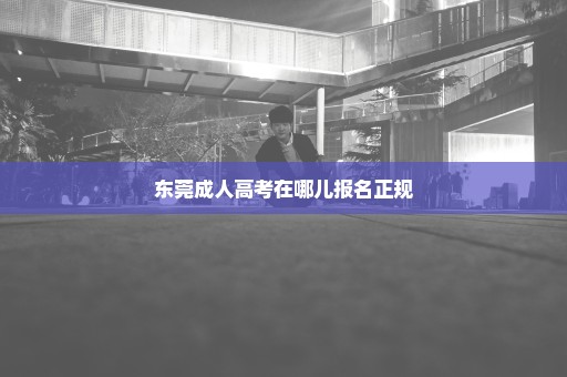 东莞成人高考在哪儿报名正规