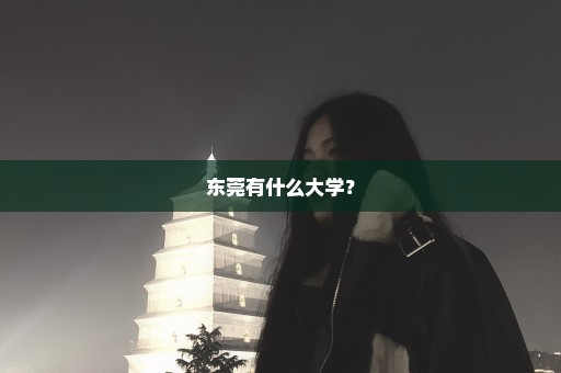 东莞有什么大学？