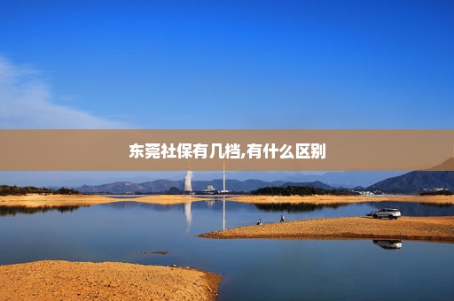 东莞社保有几档,有什么区别