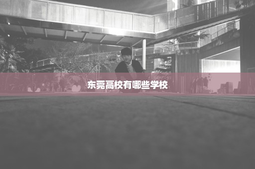 东莞高校有哪些学校