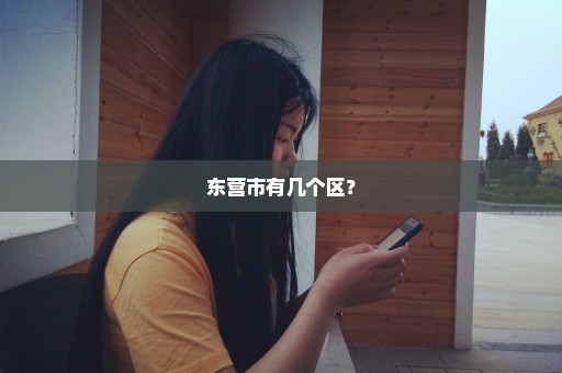 东营市有几个区？