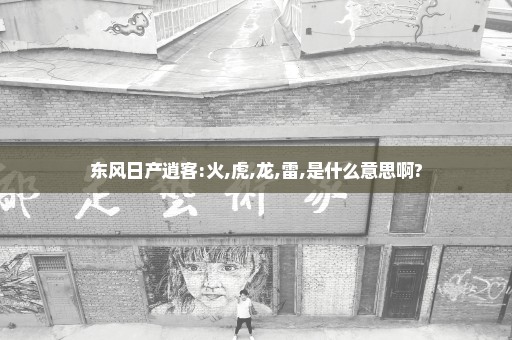 东风日产逍客:火,虎,龙,雷,是什么意思啊?