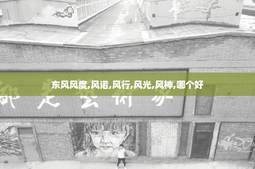 东风风度,风诺,风行,风光,风神,哪个好