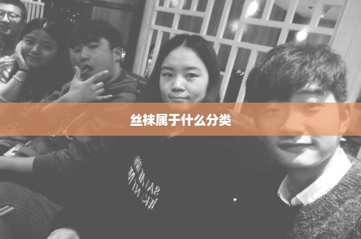 丝袜属于什么分类