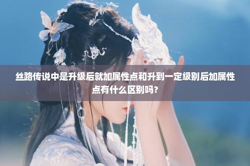 丝路传说中是升级后就加属性点和升到一定级别后加属性点有什么区别吗？