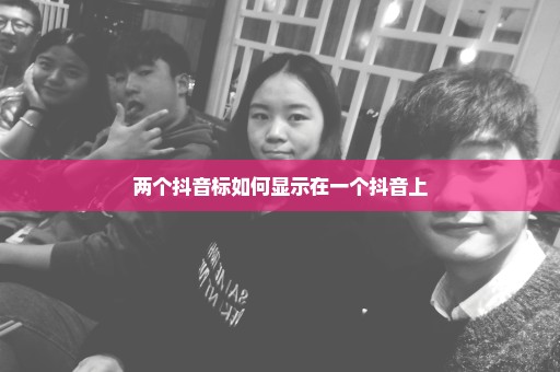 两个抖音标如何显示在一个抖音上