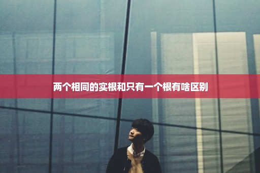 两个相同的实根和只有一个根有啥区别