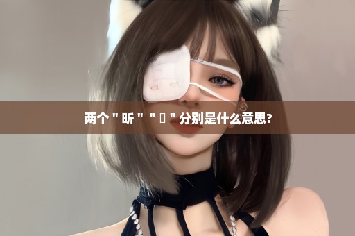 两个＂昕＂＂盺＂分别是什么意思?