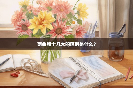 两会和十几大的区别是什么？