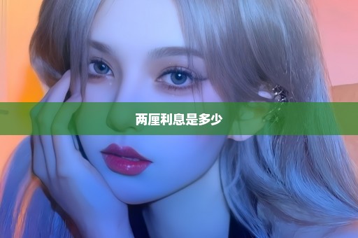 两厘利息是多少