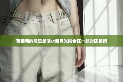 两相和的意思是湖水和月光融合在一起对还是错