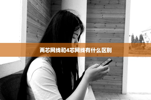 两芯网线和4芯网线有什么区别