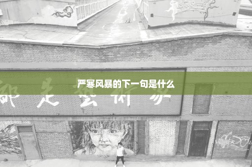 严寒风暴的下一句是什么