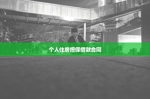 个人住房担保借款合同