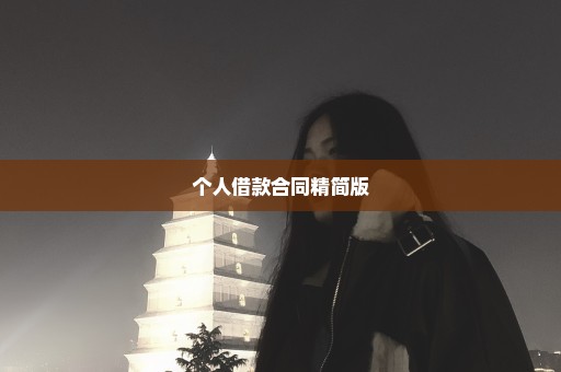 个人借款合同精简版