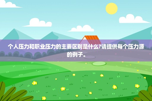 个人压力和职业压力的主要区别是什么?请提供每个压力源的例子。