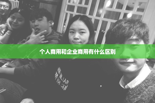 个人商用和企业商用有什么区别