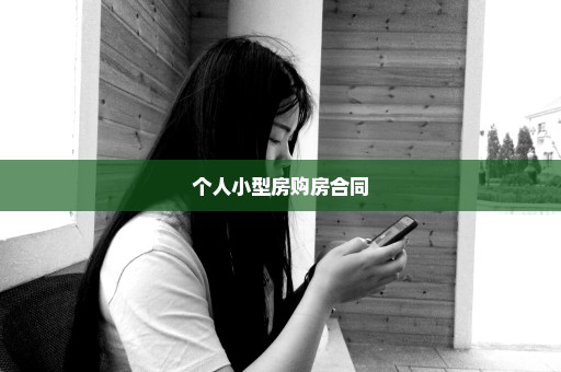 个人小型房购房合同