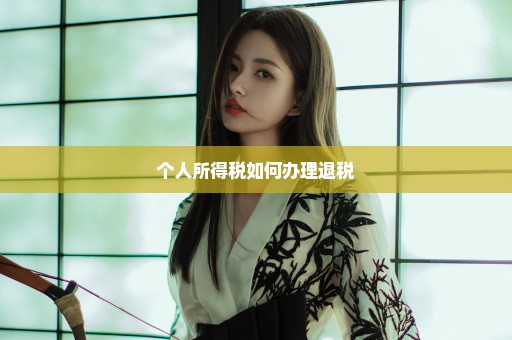 个人所得税如何办理退税