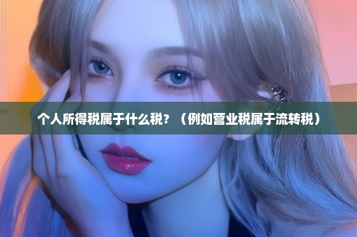 个人所得税属于什么税？（例如营业税属于流转税）