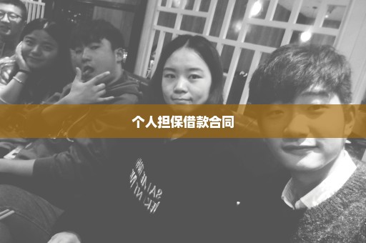 个人担保借款合同