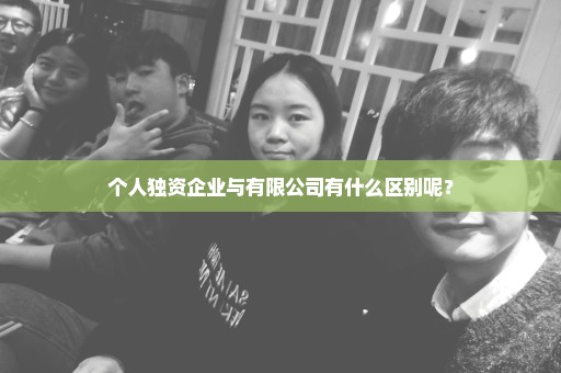个人独资企业与有限公司有什么区别呢？