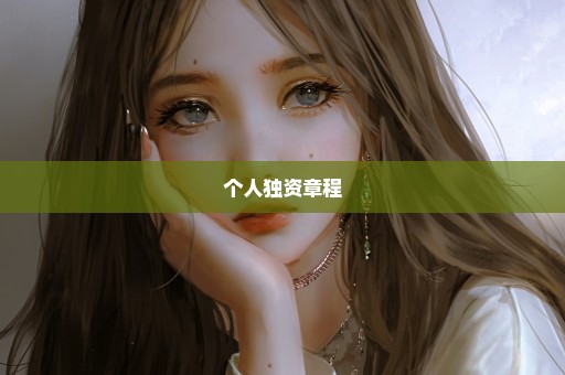 个人独资章程