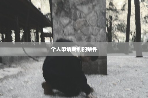 个人申请专利的条件