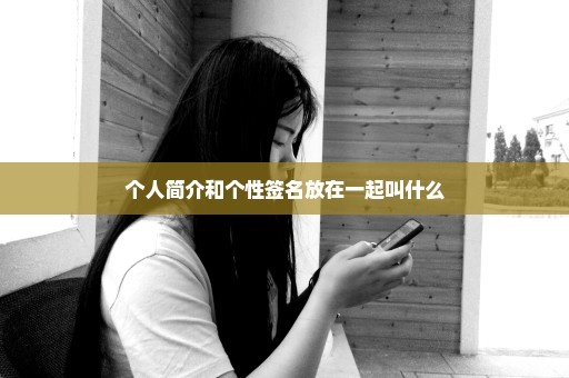 个人简介和个性签名放在一起叫什么