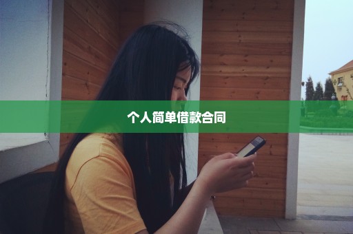 个人简单借款合同