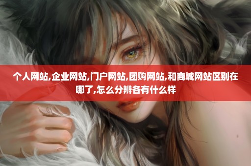 个人网站,企业网站,门户网站,团购网站,和商城网站区别在哪了,怎么分辨各有什么样