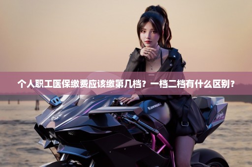 个人职工医保缴费应该缴第几档？一档二档有什么区别？