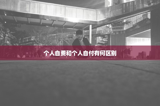 个人自费和个人自付有何区别
