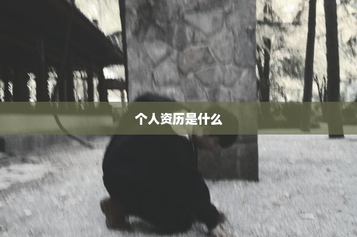个人资历是什么