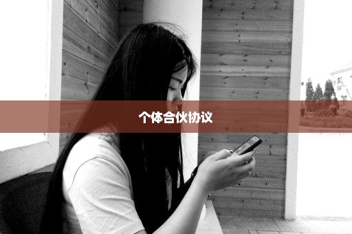 个体合伙协议
