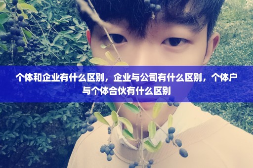 个体和企业有什么区别，企业与公司有什么区别，个体户与个体合伙有什么区别