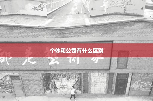 个体和公司有什么区别
